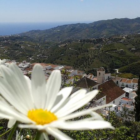 Willa Casa Ana, Fantasticas Vistas A Frigiliana, El Mar Y La Montana Zewnętrze zdjęcie