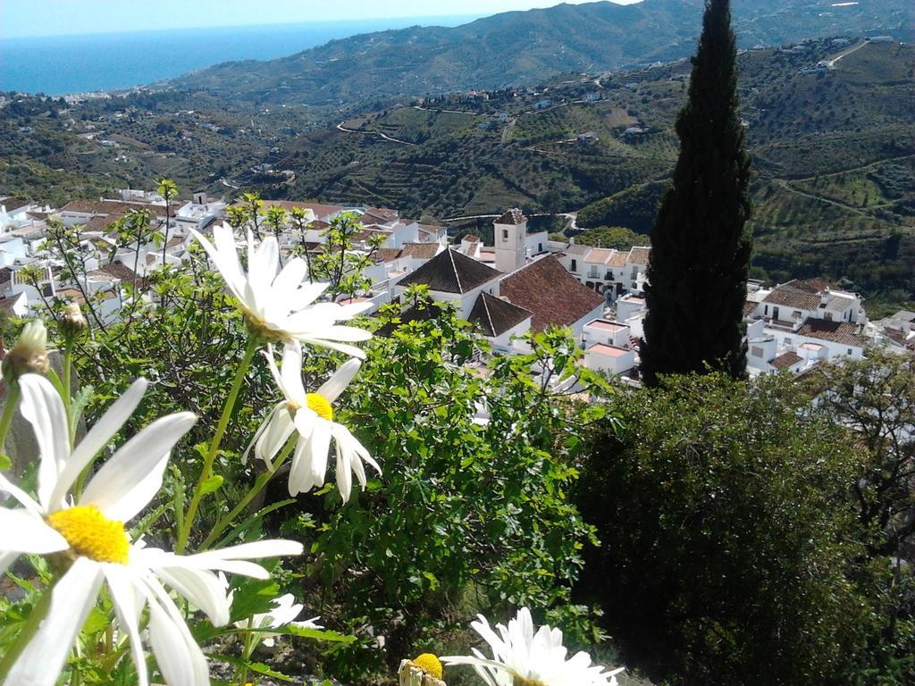 Willa Casa Ana, Fantasticas Vistas A Frigiliana, El Mar Y La Montana Pokój zdjęcie