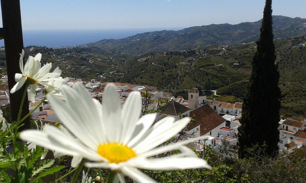 Willa Casa Ana, Fantasticas Vistas A Frigiliana, El Mar Y La Montana Zewnętrze zdjęcie