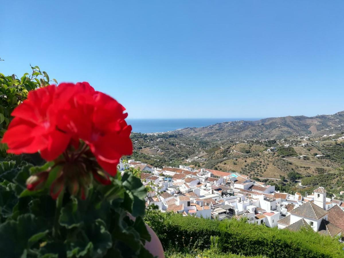 Willa Casa Ana, Fantasticas Vistas A Frigiliana, El Mar Y La Montana Zewnętrze zdjęcie
