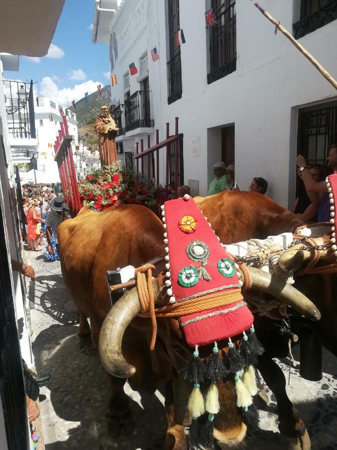 Willa Casa Ana, Fantasticas Vistas A Frigiliana, El Mar Y La Montana Zewnętrze zdjęcie